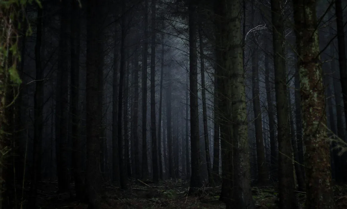 "Dark